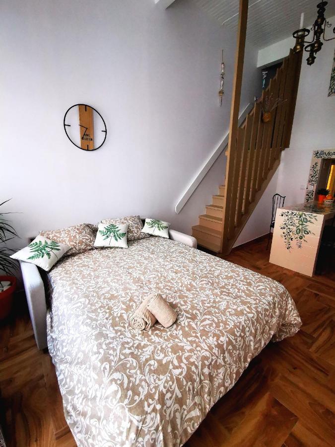 Charming Portuguese Style Apartment, For Rent "Vida A Portuguesa", "Fruta Or Polvo" Alojamento Local Portimão Eksteriør bilde